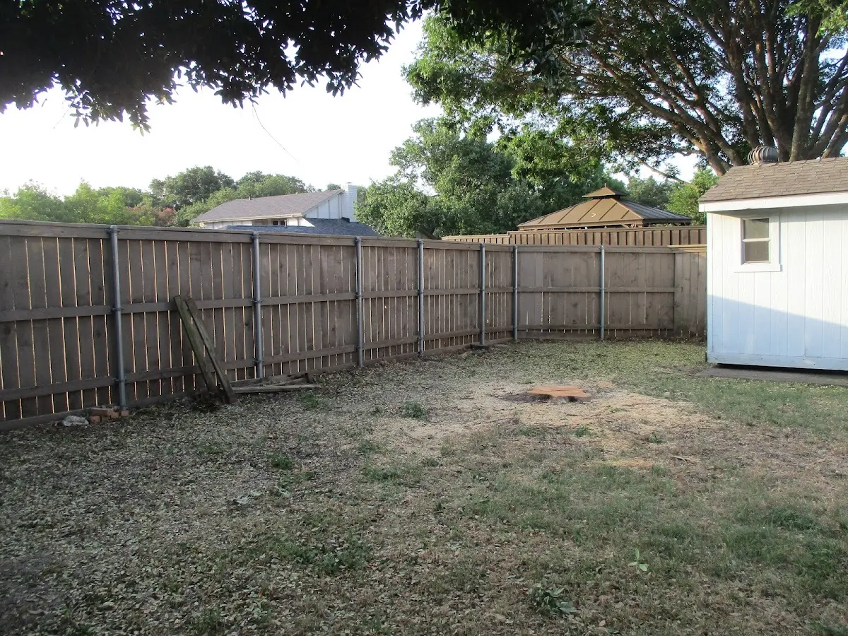 Cleared yard after professional tree removal in Alburtis